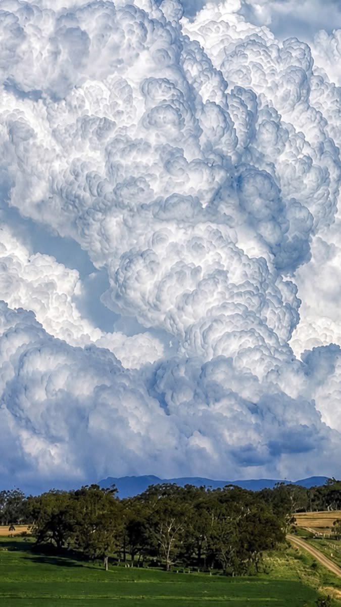 natureaest's tweet photo. Clouds ☁️ <3 https://t.co/bBhTWm4kNu