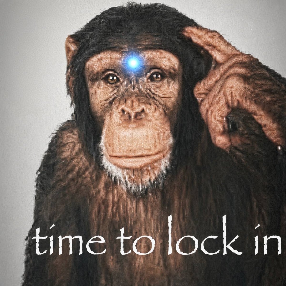 thematrixwizard's tweet photo. https://t.co/0X2VkAI0at