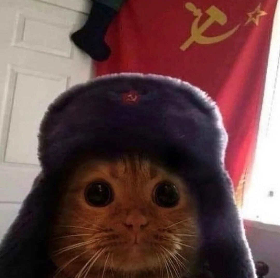 Kingooooor's tweet photo. We share the rewards, comrade. https://t.co/fJKON1UUoe