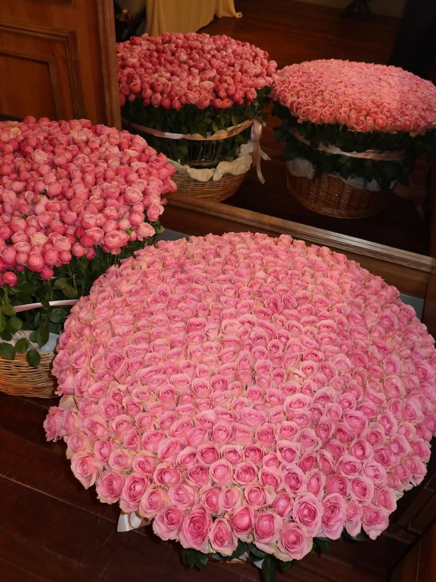 Flowersidmb's tweet photo. https://t.co/R5uEBCcxxy