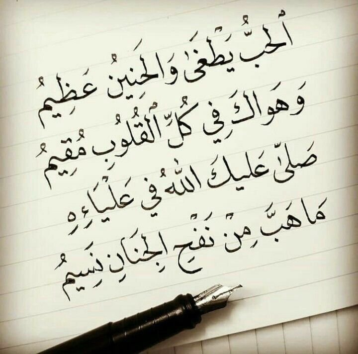Arab85318069's tweet photo. عليه افضل الصلاة والسلام 

🌼🌿🌼🌿🌼 https://t.co/OpH1CAMjph