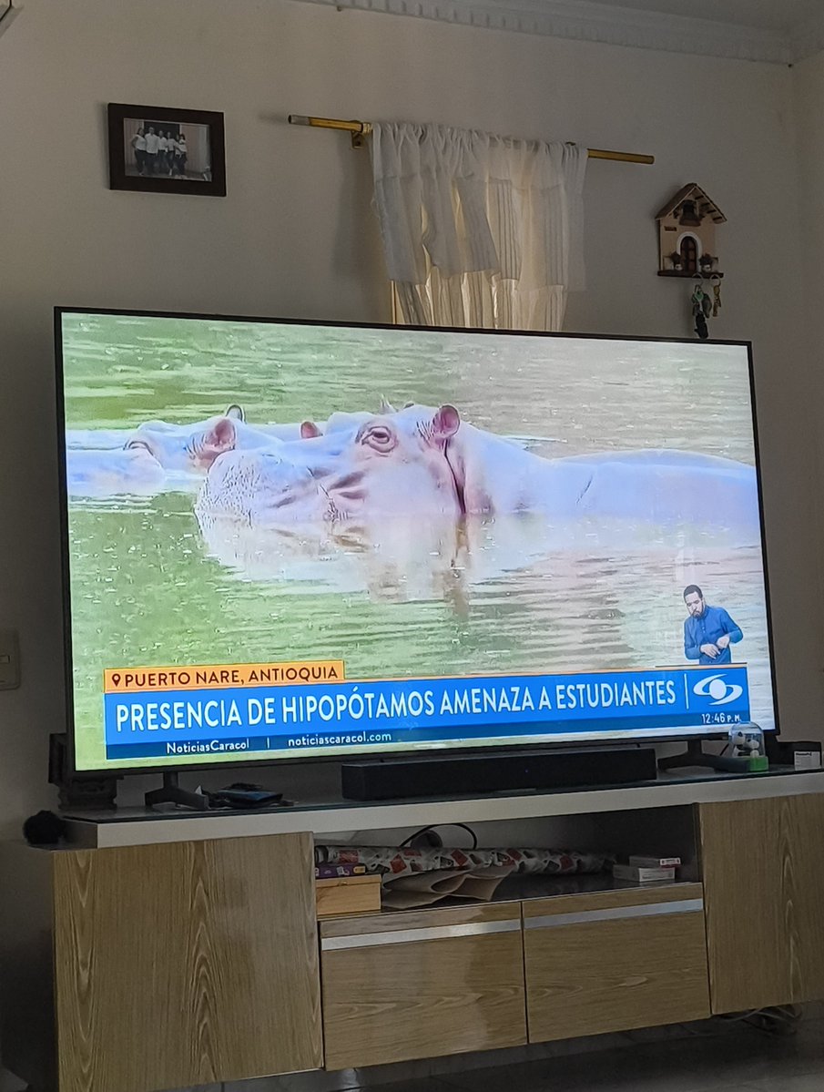 MaogarciaJavi's tweet photo. La noticia más tranqui de colombia https://t.co/ltqT9uyibC