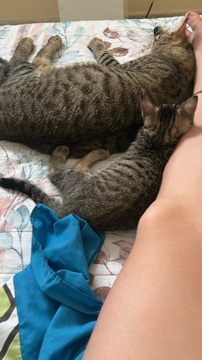 ibethdama's tweet photo. Bebés de mamá 🤍 https://t.co/ceRCaxdaFM