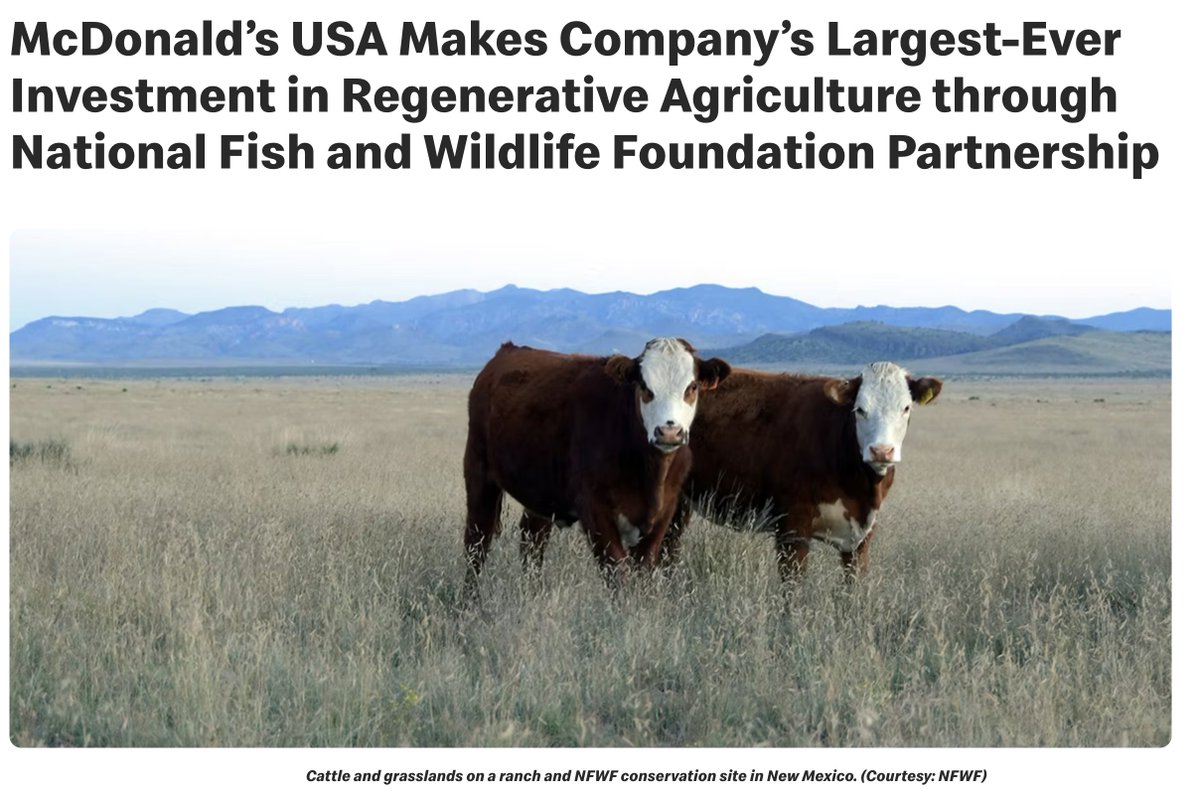 NicholasDCarter's tweet photo. The science shows regenerative grazing simply doesn't work 

And I get it, it's a captivating well funded story ($200M from McD's otw), &amp; it's easier to convince many that tweaks are all that's needed vs. systemic changes away from beef

🧵8 reasons why this won't make beef eco. https://t.co/EARcEtRUzR