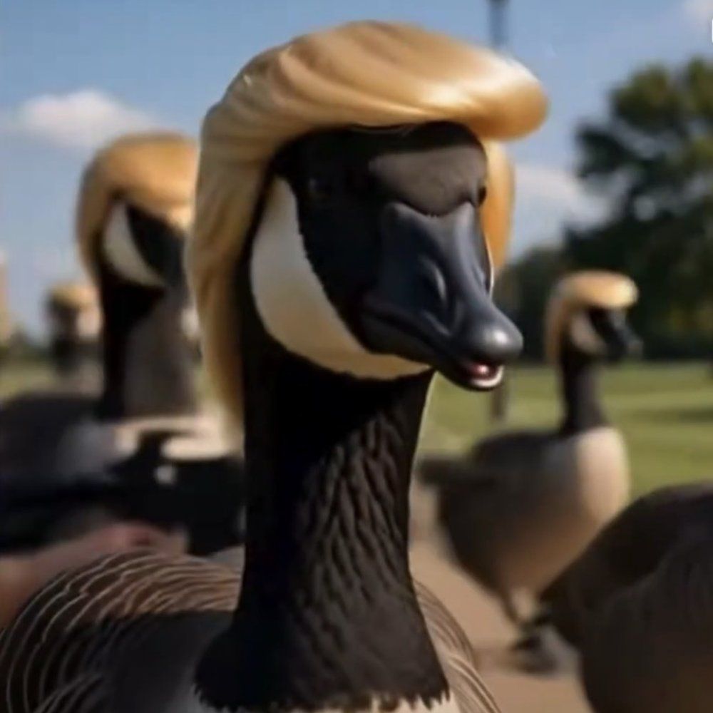 Rtc20211's tweet photo. The goose paid. 🪧🇺🇸

98,706 $FUKYEAH to every wallet holding $FUKYEAH and $PEPENOM. 116 wallets. 11.45M total, which is 24 times the 470,000 the goose originally promised, because 470,000 split 116 ways was 42 cents and the goose has standards.

Bought on the market this afternoon, 12.6 SOL, three green candles, then dropped. Receipts: https://t.co/hat8dqLASy

Check your wallet. No claim, no form. The goose does not DM.