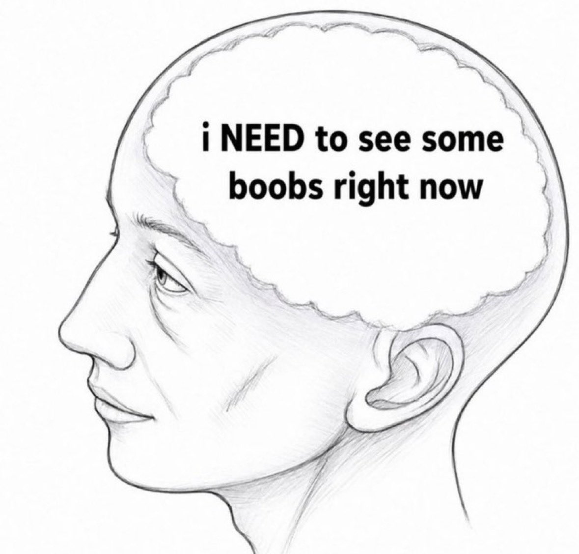 bigboobies_fan's tweet photo. I Need to See some big Boobs 🍉🍉😜 https://t.co/RKhVsNvSqQ