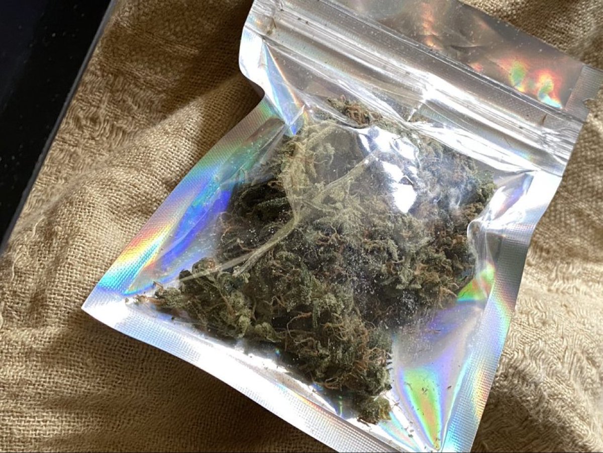 ScotWalkerbg's tweet photo. Looks like an old hag and still on the stick, poorly formed and fabulously leafy.
Lemon Zkittlez
A creeper for sure https://t.co/co3IvM0EIO