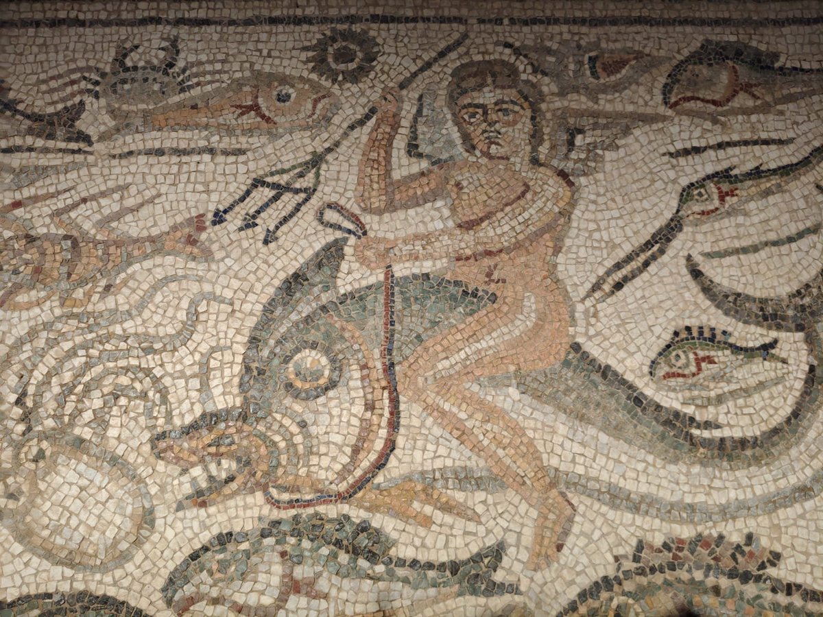 anto_dts's tweet photo. Portus Lunae -  Parco Archeologico e Anfiteatro di Luni
#museoluni https://t.co/CJdIGJWEZu