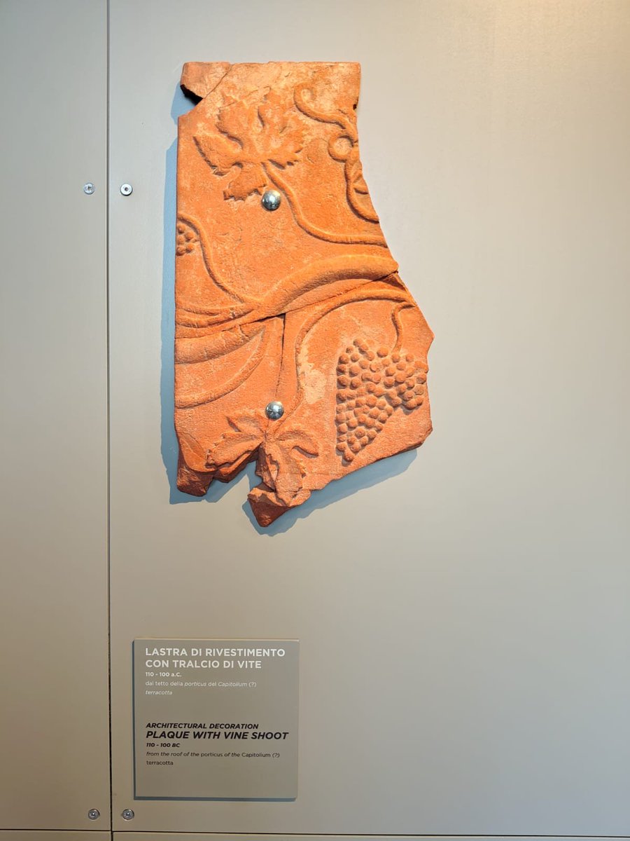 anto_dts's tweet photo. Portus Lunae -  Parco Archeologico e Anfiteatro di Luni
#museoluni https://t.co/CJdIGJWEZu