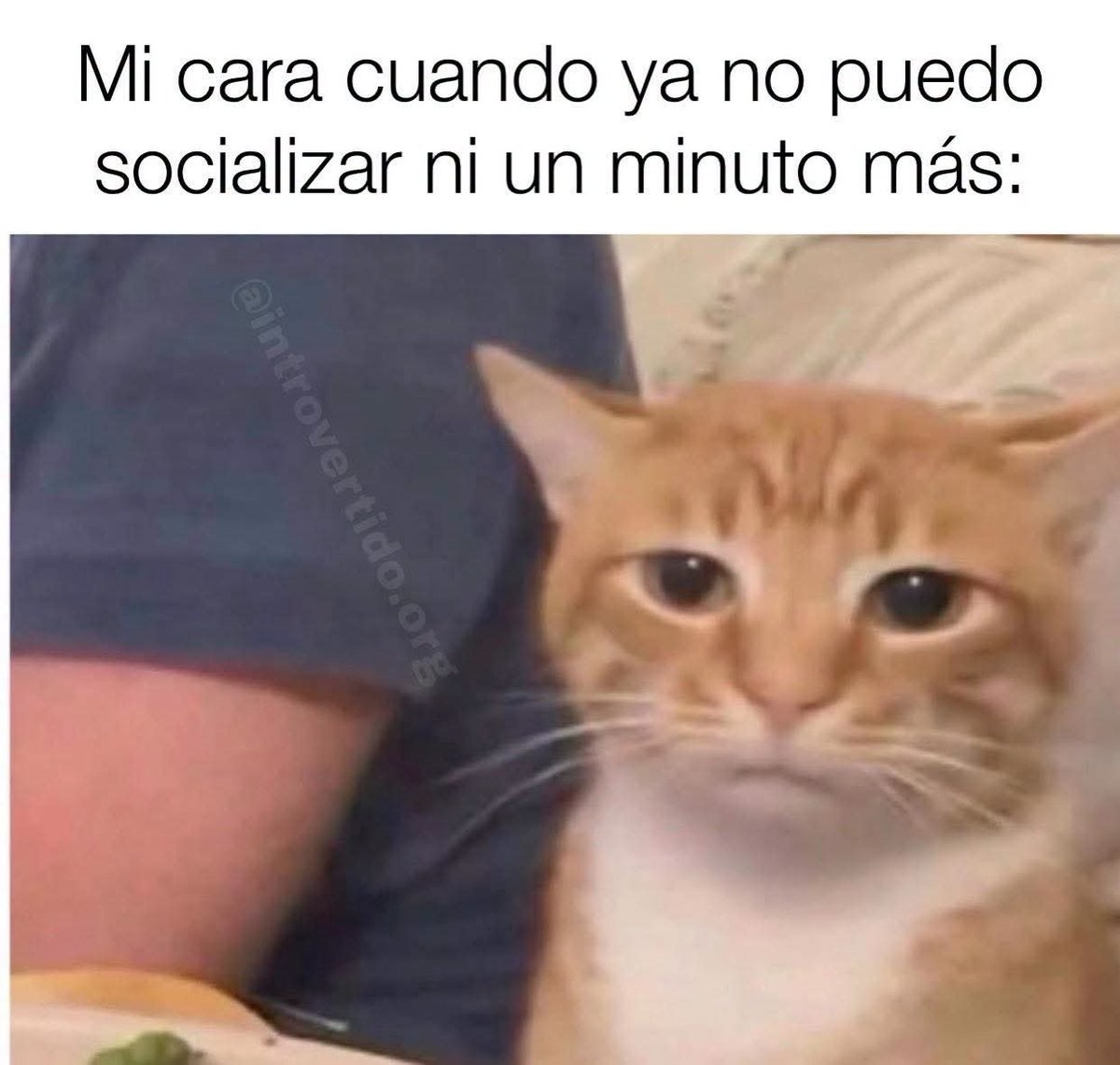 VicentteRosero's tweet photo. https://t.co/xwxTJIdcZJ