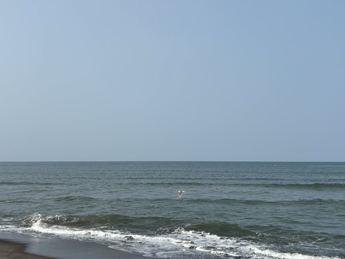 piecepiece_22's tweet photo. 上手く写せてない？飛んでる所
オホーツク海 https://t.co/FEV6h7m2UP