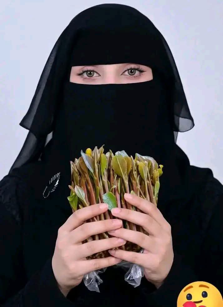 DFU70O's tweet photo. مين يحب يتوصل معي على تليجرم هذا رقمي هذا   714171438 وهذا واتساب على رقمي هذا 730795218 https://t.co/tPGeHKnHux