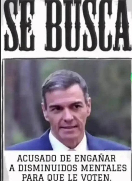FranMonteFranci's tweet photo. @Mart2Saco Anormal sin cerebro y un enfermo mental eres como tu amo sigue comiendole el miembro y sigue sumiso a el a ver si tenemos suerte y te pudres junto a él y dejáis de joder a los españoles https://t.co/ZTvL6pgw9A