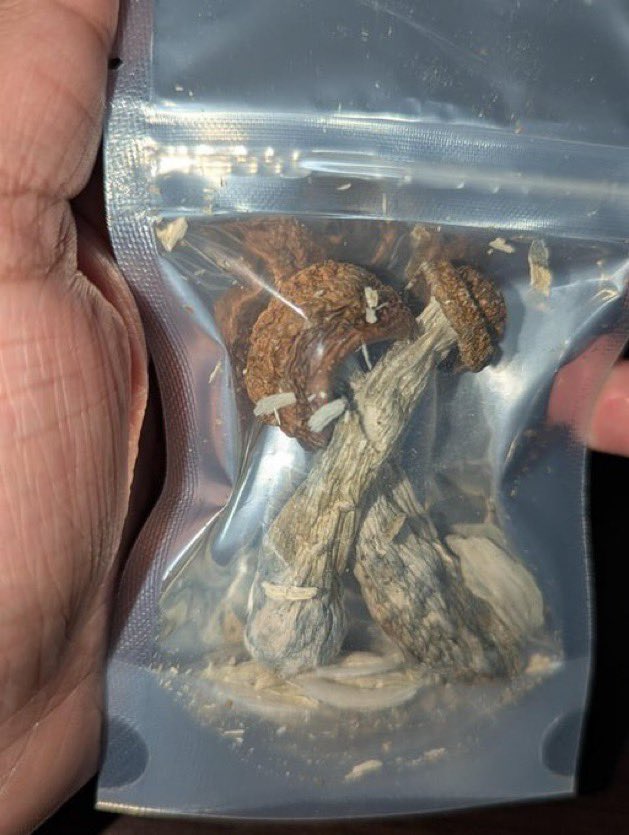 ScotWalkerbg's tweet photo. Safe to consume? Looking for advice #drugtwt https://t.co/b7taroo5Hm