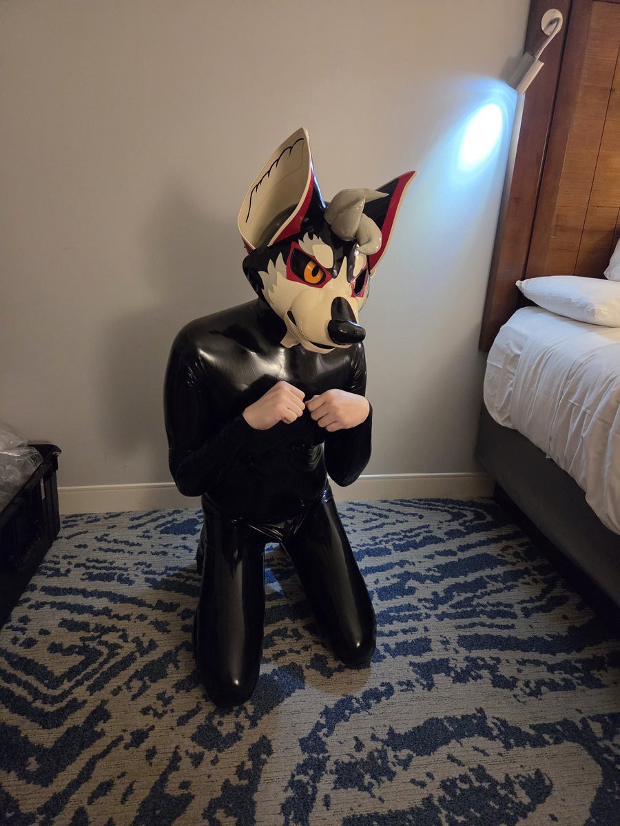ari_dumpling's tweet photo. Latex pic from Megaplex.

Drone of wolf? Both~ https://t.co/UBG27ngGiP