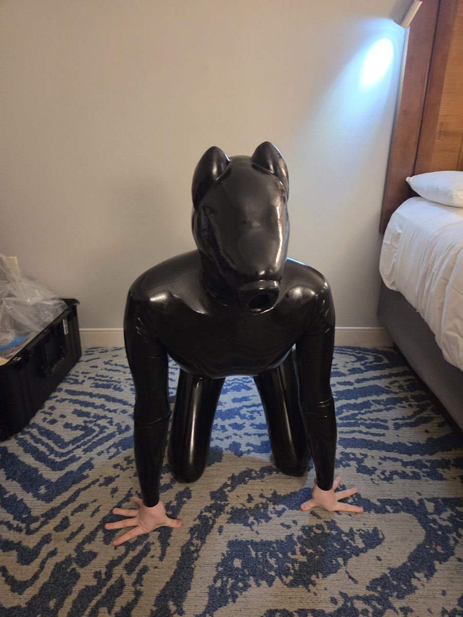 ari_dumpling's tweet photo. Latex pic from Megaplex.

Drone of wolf? Both~ https://t.co/UBG27ngGiP