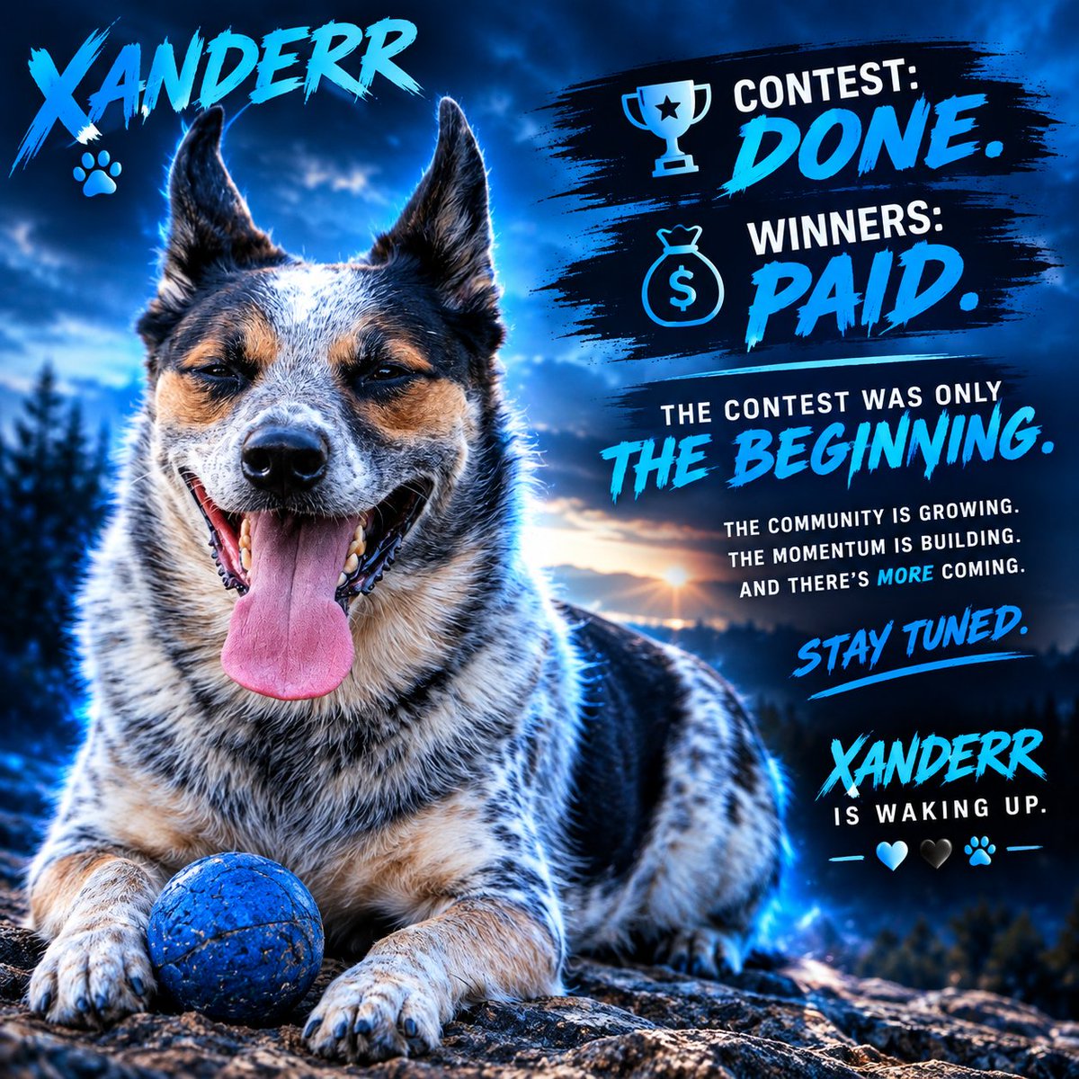 Xanderr1721's tweet photo. 🏆 Contest: DONE.
💰 Winners: PAID.
🐾 XANDERR: JUST GETTING STARTED.

The contest was only the beginning.

The community is growing.
The momentum is building.
And there’s more coming.

Stay tuned. 👀

XANDERR is waking up. 💙🖤🐾 https://t.co/NdPIF6zQ2Y