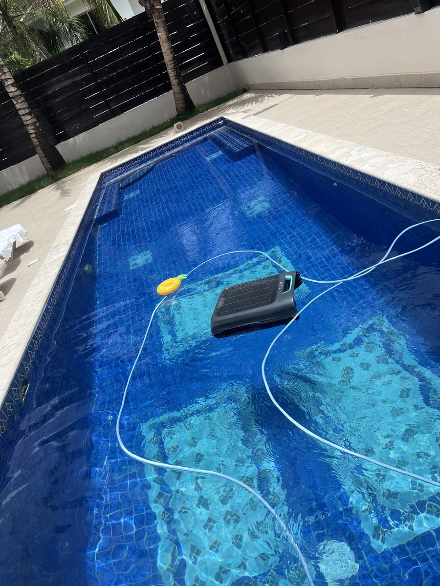 NapoleonVeloz's tweet photo. Con este calor se vale hoy 🦦 https://t.co/DSNeusVR7t