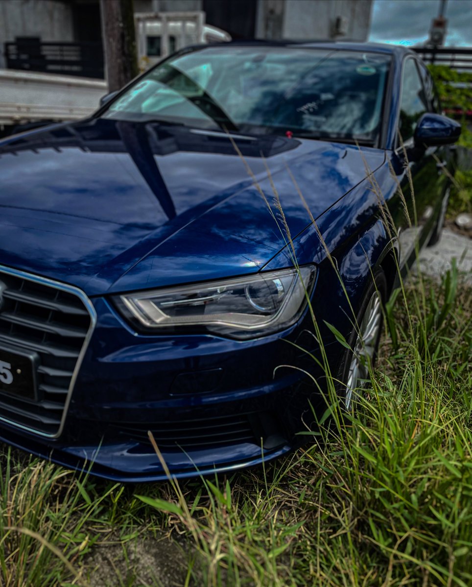 OleviaYerton's tweet photo. Bluey The A3. Follow @blueythea3 for more. https://t.co/ImoAZXLju2
