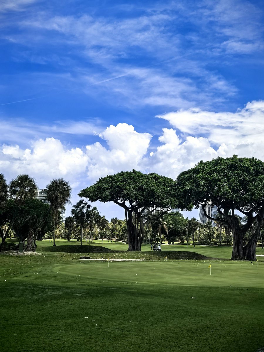celentty's tweet photo. Is there anyone to play golf with? https://t.co/AKLiCDFqec