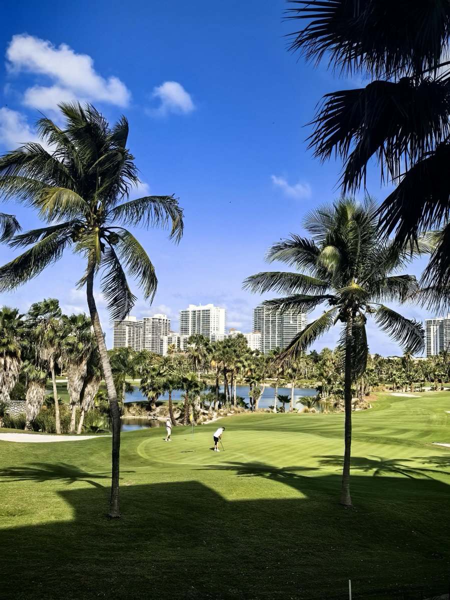 celentty's tweet photo. Is there anyone to play golf with? https://t.co/AKLiCDFqec