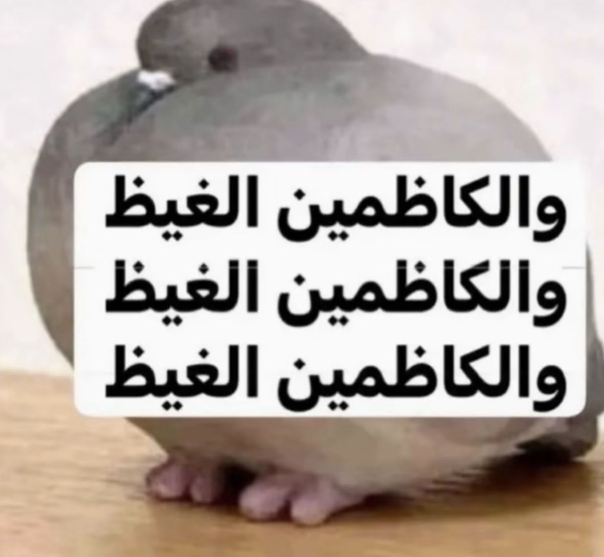 ReaLvulpophile's tweet photo. اختي كبت علي مويه عشاني لبست تيشرتها وكل ما اتكلم تكب زياده، اضطريت اسكت بدال ما اقوم اخلع اسنانها https://t.co/75jOetF2cX