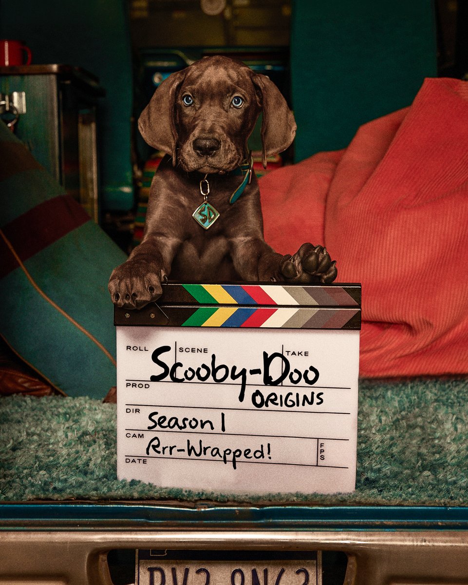 netflix's tweet photo. Our Great Dane pup and his gang of meddling kids have officially wrapped production on Scooby-Doo: Origins, coming 2027! https://t.co/k6rjFYRSUe