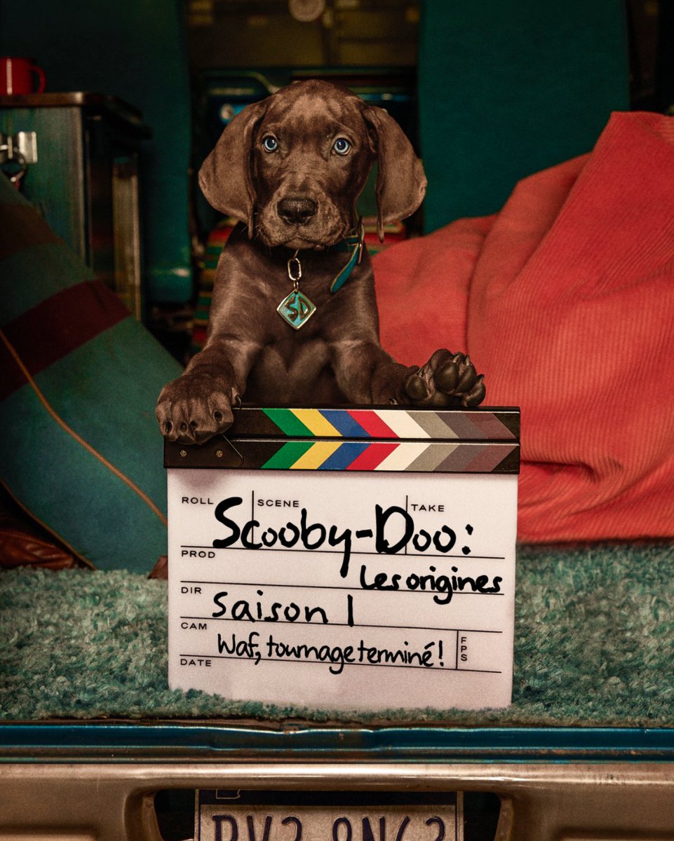 NetflixFR's tweet photo. SAAAMMMYYYY

SCOOBY-DOO : LES ORIGINES, en 2027. https://t.co/McEEhmf2W0
