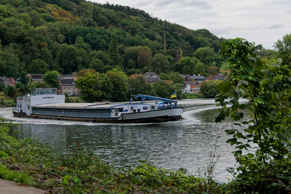 PeetermansRudi's tweet photo. #Huy, 12 sept 2026 16h30. #weerfoto #Maas #Meuse https://t.co/w0E4sJsr8P