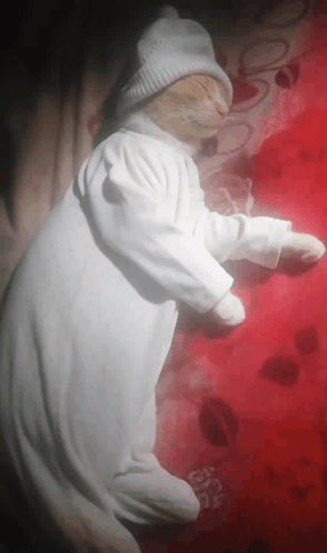 flwerforme's tweet photo. مطر وأمي مسويه سليق وبكره دوام شعوري زي هالقطوه https://t.co/sTgfZExcUc