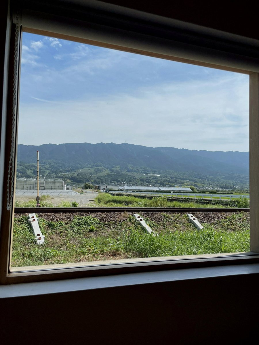 ___lllii1204's tweet photo. これは泣けるちんすこう🫶 https://t.co/0StACQ7rZZ