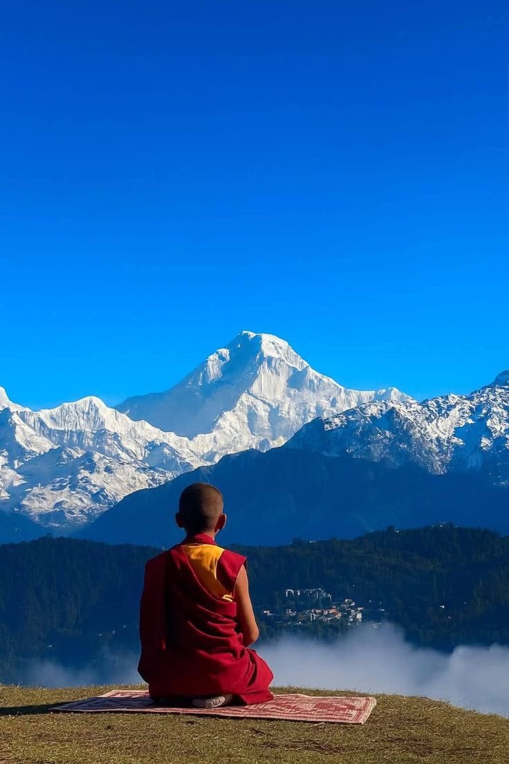modernbuddh's tweet photo. No one saves us but ourselves. No one can and no one may.

We ourselves must walk the path.

-Buddha https://t.co/EUM438wqmd
