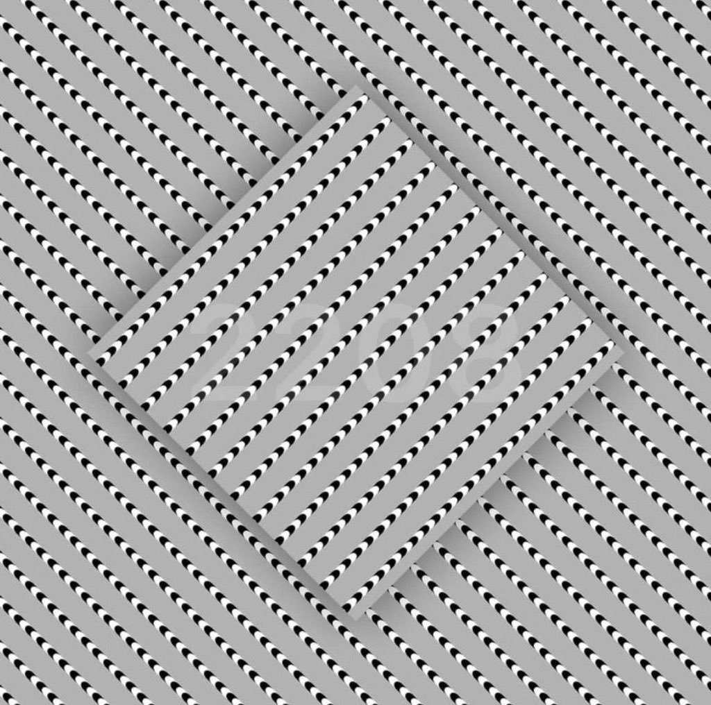 0DonaldTrumpJr1's tweet photo. No one has found the number in the box so far

What number do you see?

LEVEL- VERY HARD

WINNER takes $3000
ends in 24 hours https://t.co/l8BPZ5VXX5