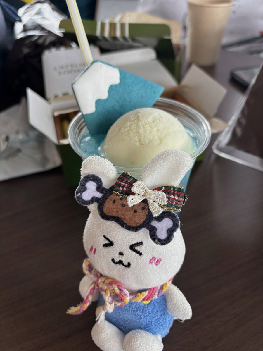 Mira_Mayob's tweet photo. クヌギで思い出したけど、私の卒論も良い思い出。スギ林の中で半年だけだけど調査したなあ。おかげで統計の面白さと大事さを教えてもらった。スズ���バチ出てきたり、友人がムカデに噛まれたり蚊取り線香で服溶かしたりした時は少し焦った。
驚きの発見があって楽しかったな。 https://t.co/kZkDkv1Yaj