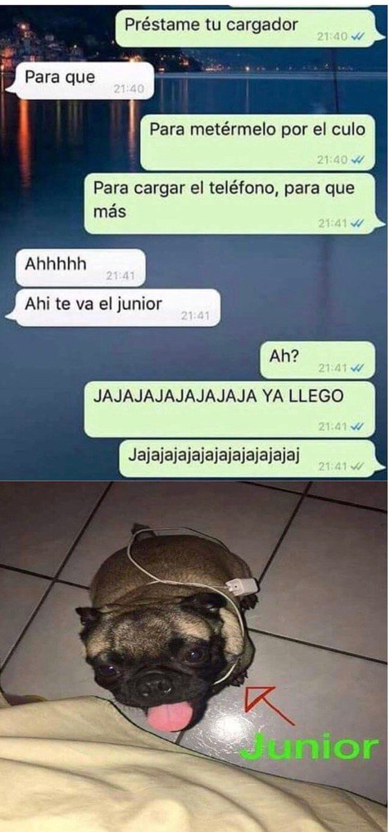 bjs_alejo2's tweet photo. https://t.co/hTg2pT6g2q