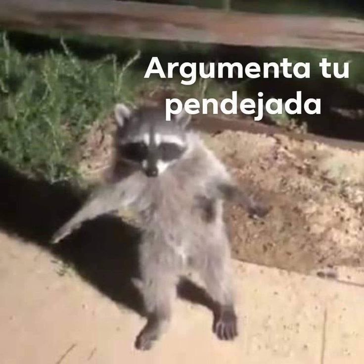 hannishavo's tweet photo. O seaaaa todxs entendimos a Yoongi diciéndole adiós a Agust D hasta que vuelva a necesitarlo y puedo que nunca vuelva perooooo no les cabe en la cabeza que Nam esté buscando equilibrio entre RM y Namjoon ??? Así me tienen https://t.co/RWcsUnxiMk