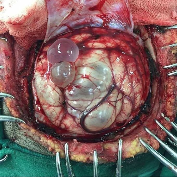 Doctors_GUILD's tweet photo. Diagnosis? https://t.co/XP70iGQyyX