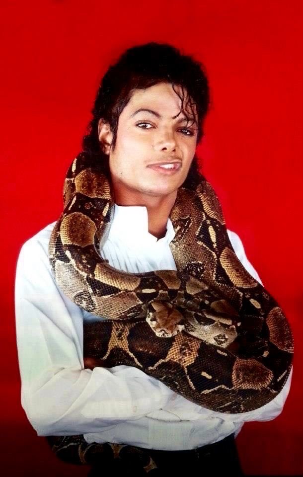 Sound_Scrape's tweet photo. Michael Jackson with his Pet Boa Constrictor named ‘Muscles’ (1987) https://t.co/KONaPZW4ZQ