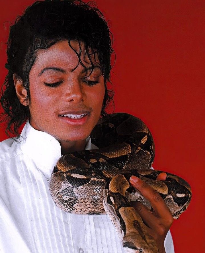 Sound_Scrape's tweet photo. Michael Jackson with his Pet Boa Constrictor named ‘Muscles’ (1987) https://t.co/KONaPZW4ZQ