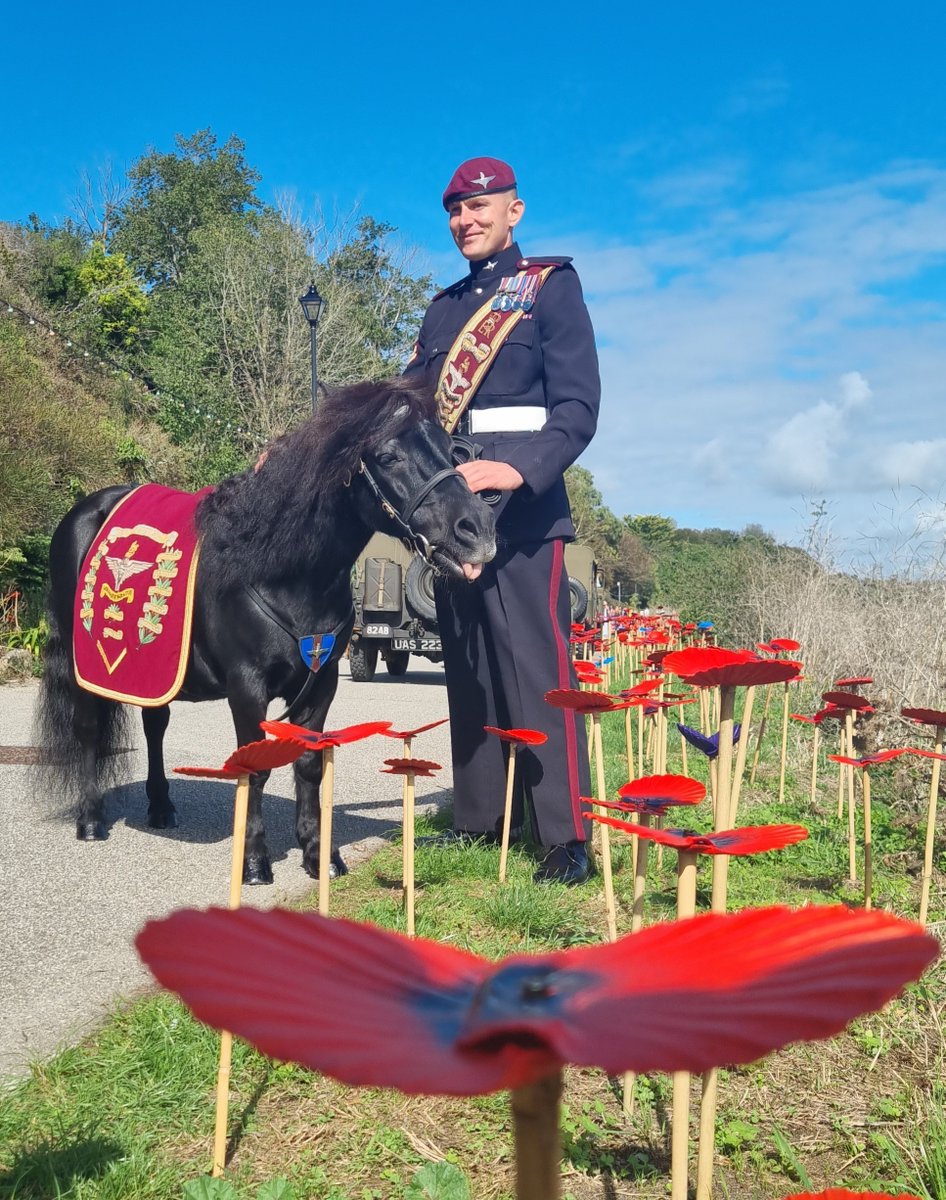 RibbonofPoppies's tweet photo. Have you found the purple 💜 poppy on the King George V Memorial Walk in Hayle yet?

Pegasus @TheParachuteReg mascot and handler did! 

The poppies are there until the end of September.

@BritishArmy https://t.co/pvicxpuxit