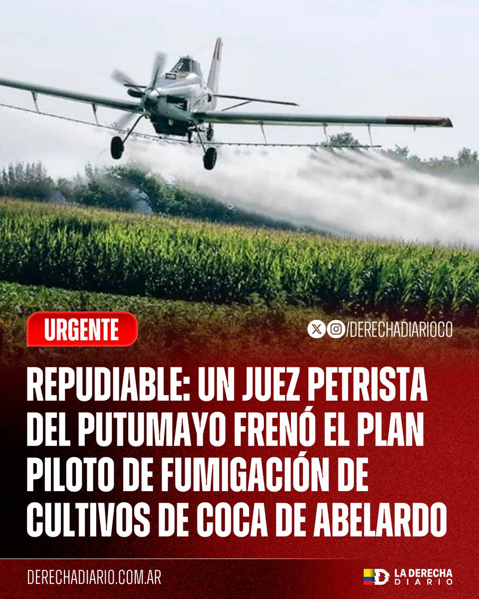 DerechaDiarioCO's tweet photo. 🚨🇨🇴 | URGENTE — REPUDIABLE: Un juez zurdo del Putumayo frenó mediante una medida cautelar el inicio del plan piloto del Gobierno de Abelardo De La Espriella para fumigar cultivos de coca con glufosinato de amonio.

La decisión prohíbe provisionalmente cualquier aspersión aérea con este producto en todo el departamento, alegando supuestos "riesgos para la salud, el agua y el medio ambiente".