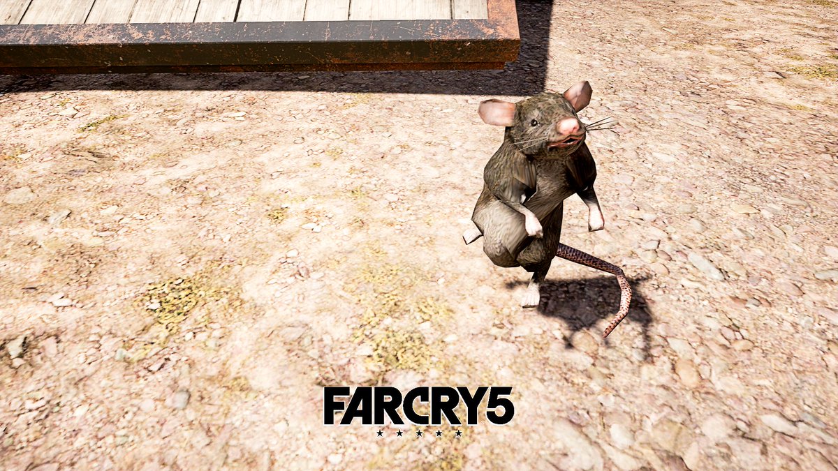 13brevkasse's tweet photo. He looks so cute 🐀
#SouthPark #Asphalt #FarCry5 #Scarecrow #Halloween @SilentEcho999 #Pumpkins #VGPNetwork #Waypoint @EnslinPorter #HollandValley #ThePhotoMode #Græskar @Albert_VP #FarCry #SewerRat #Entrance https://t.co/x9J000CYvT
