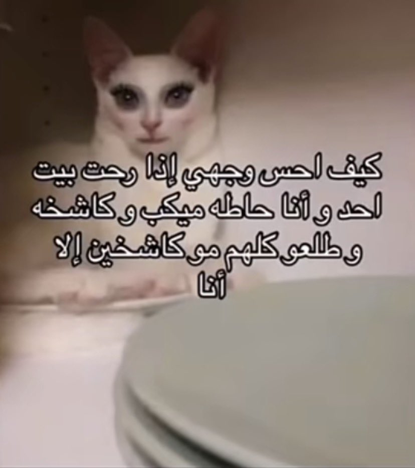 judetwentytwo's tweet photo. @incorede انتِ https://t.co/LzymznWaCZ