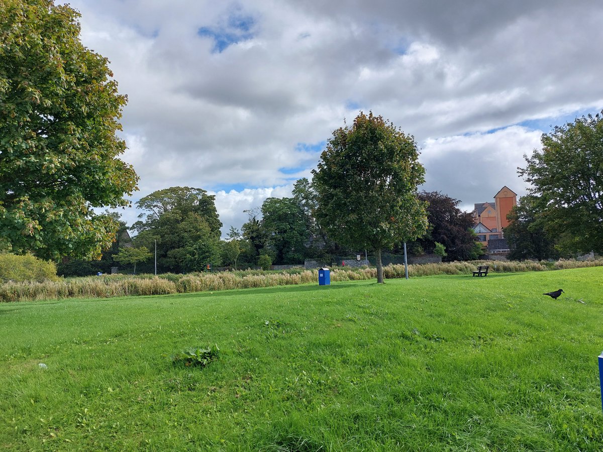 WildersLiz's tweet photo. #Day256 of #300daysofwalking #Day2076
#round6crew #MentalHealthAwareness #100daysofwalking
#200daysofwalking #365daysofwalking
Lovely early afternoon walk in Naas https://t.co/Dmqi6SE3TI
