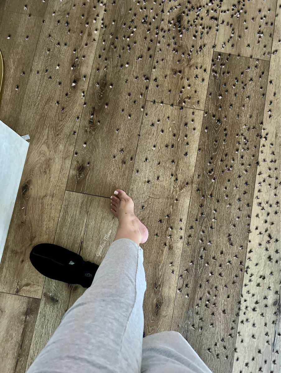 GiantessMuse's tweet photo. One minute they’re worshipping me, the next they’re screaming and running for their lives. Ugh, men are so dramatic. 👣💅 https://t.co/9AyyBFcpMb