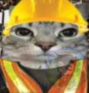 Fagin103's tweet photo. @foredvens I’m 17 and I work construction https://t.co/p8GE5onMGJ