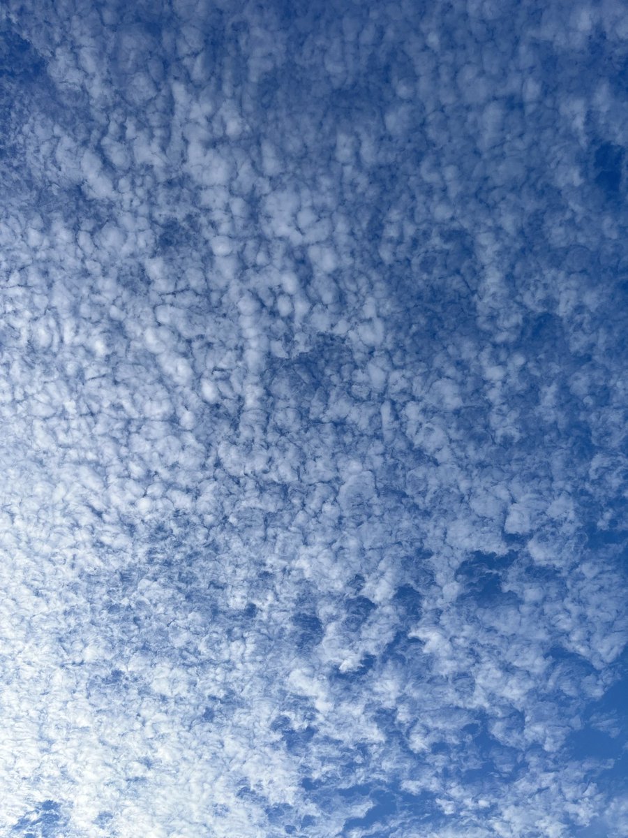 GRN_gurume0's tweet photo. #今の札幌
穏やかな朝だ。
湖が凍った様な空。
日曜日は車も人も少なくて、
静かで清々しい。

・・・。

早く起きすぎた😅

時間持て余したので昨日に引き続き #なか卯 で朝ごはん650円🍚

#ゴールドラッシュ南郷通店
#ベーコンエッグ
#秋の交通安全始まるね https://t.co/Ispu75bpwq