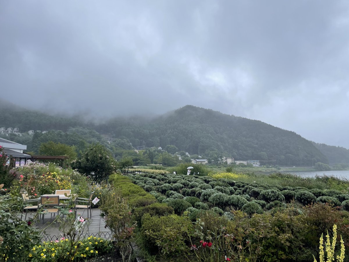midori_platform's tweet photo. 富士河口湖畔の大石公園を訪れました。

あいにくのお天気でしたが、きれいなガーデンを楽しめました！今は10月に入るとコキアが赤く色づいて見頃になります😍

#Midori #自然 #公園 #アウトドア #自然情報ポータルサイト https://t.co/QGqy51Wb4r