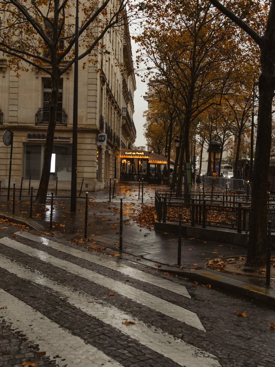 lisascCIaf97SSm's tweet photo. A soft chapter with Rainy day lifestyle warmth warmth that lingers.  https://t.co/YNh2mxCPMP