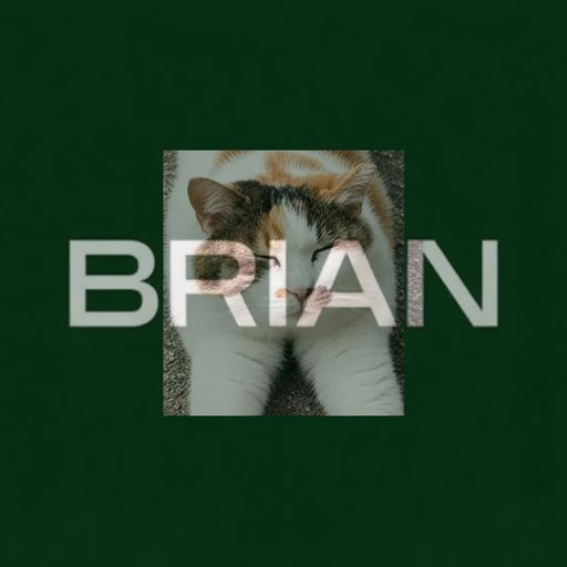 BrianTheCatHOOD's tweet photo. br(i)an

on @longdotxyz https://t.co/K1ONQUSyWw